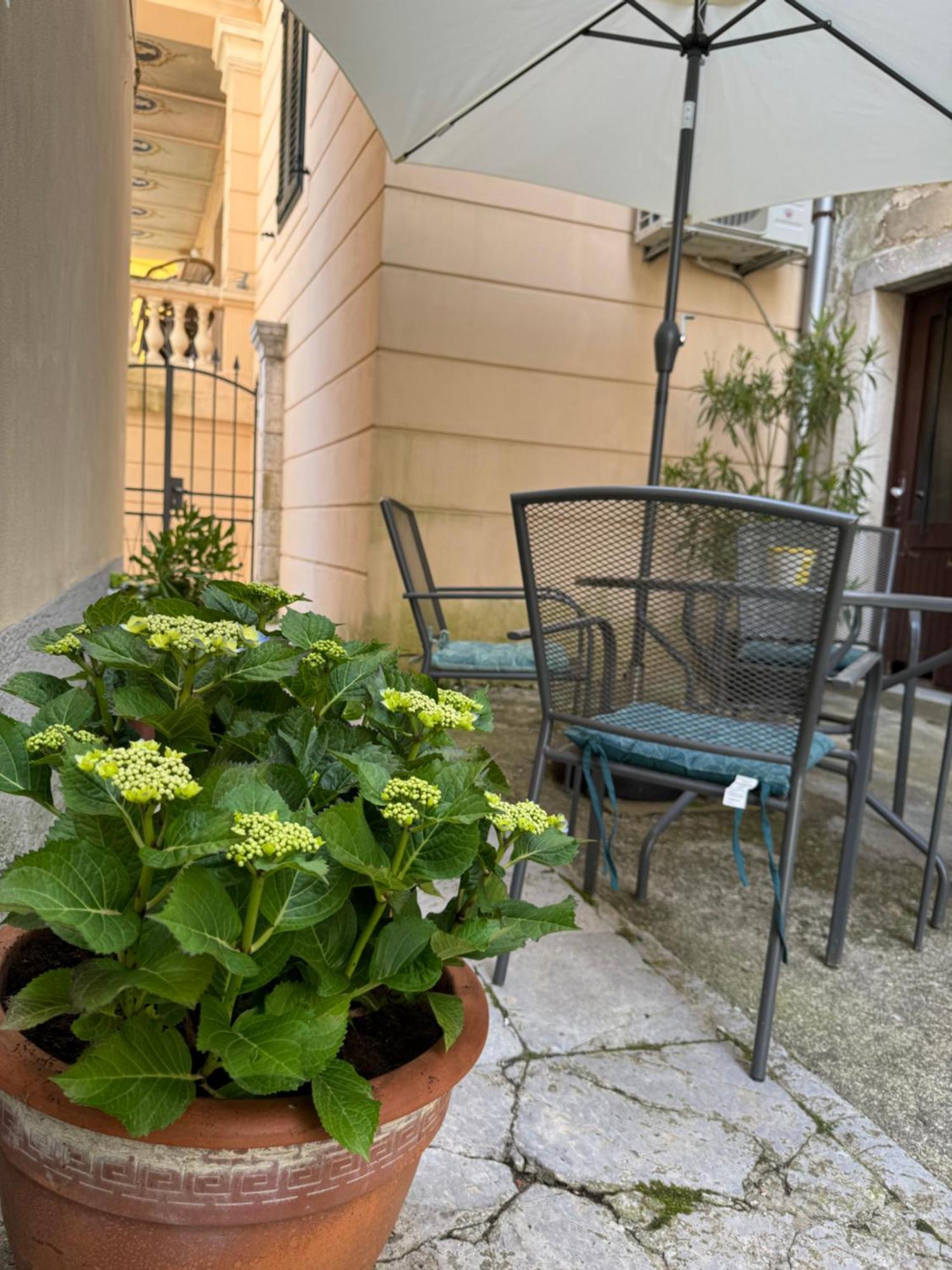 Apartment Mirna - What You See Is What You Get Opatija Dış mekan fotoğraf