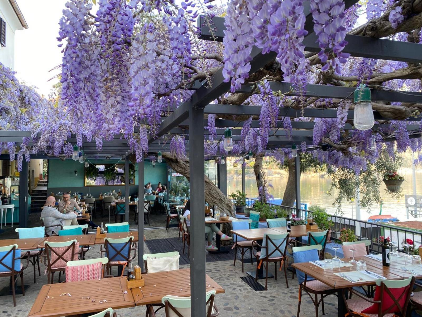 Apartment Mirna - What You See Is What You Get Opatija Dış mekan fotoğraf